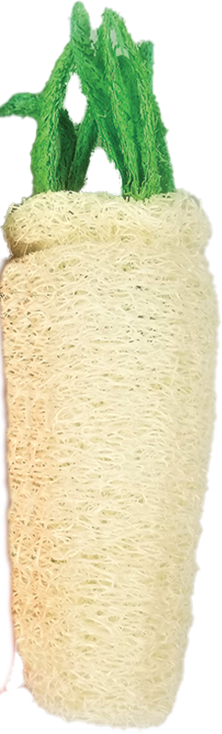 A&E Cage Loofah Daikon Small Animal Toy