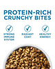 Purina ONE +Plus Indoor Advantage Senior 7+ Dry Cat Food