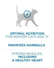 Purina ONE +Plus Indoor Advantage Senior 7+ Dry Cat Food