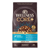 Wellness CORE+ Grain Free Ocean Whitefish, Herring Meal & Salmon Meal Recipe Dry Dog Food