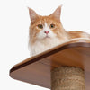 Catit Vesper High Base Giant
