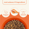 Canidae All Life Stages Dry Dog Food Real Salmon & Ancient Grains Recipe