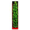 Aquatop Vibrant Garden Green Cannabis Plant