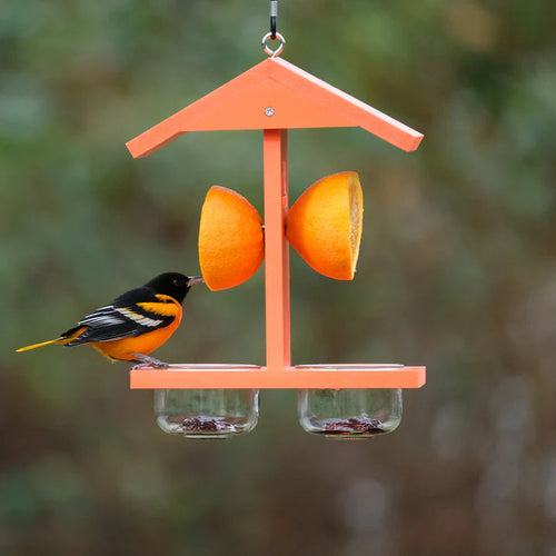 Nature's Way Bird Products EcoCycle™ Citrus Sampler Recycled Plastic Orange and Jelly Oriole Bird Feeder