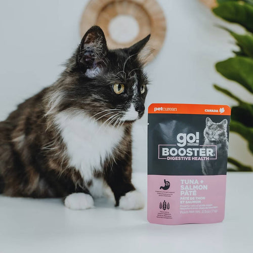 Petcurean Go! Solutions Booster Tuna + Salmon Pâté for Digestive Health Wet Cat Food
