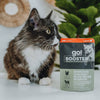 Petcurean Go! Solutions Booster Shredded Chicken + Duck in Broth for Weight Management Wet Cat Food