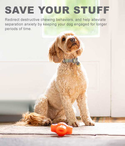 Bionic Treat Starᵀᴹ  Dog Toy