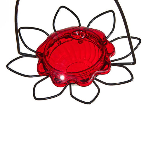 Birds Choice Hummingbird Feeder Flower for Nectar