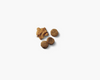 Purina Pro Plan Savor Puppy Shredded Blend Chicken & Rice Formula Dry Dog Food