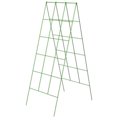 A Frame Trellis