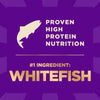 Wellness CORE+ Grain Free Ocean Whitefish, Herring Meal & Salmon Meal Recipe Dry Dog Food