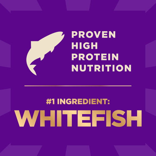 Wellness CORE+ Grain Free Ocean Whitefish, Herring Meal & Salmon Meal Recipe Dry Dog Food