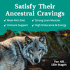 Health Extension Ancestry Lamb Meal With Rice Dry Dog Food