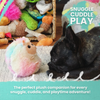 Snugarooz Poptart & Raspberry Dog Toy