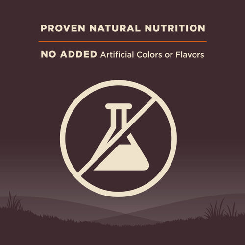 Wellness CORE Natural Grain Free Original Turkey & Chicken Recipe Dry Dog Food