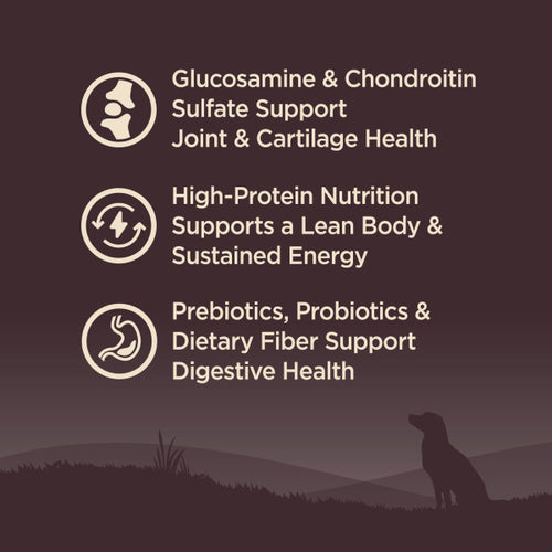 Wellness CORE Grain Free Senior Turkey Recipe Dog Food