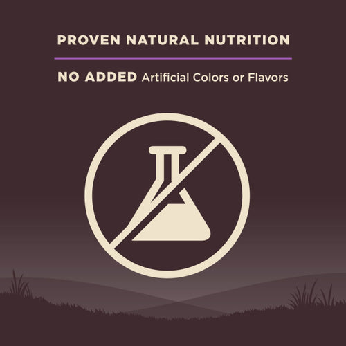 Wellness CORE Grain Free Senior Turkey Recipe Dog Food