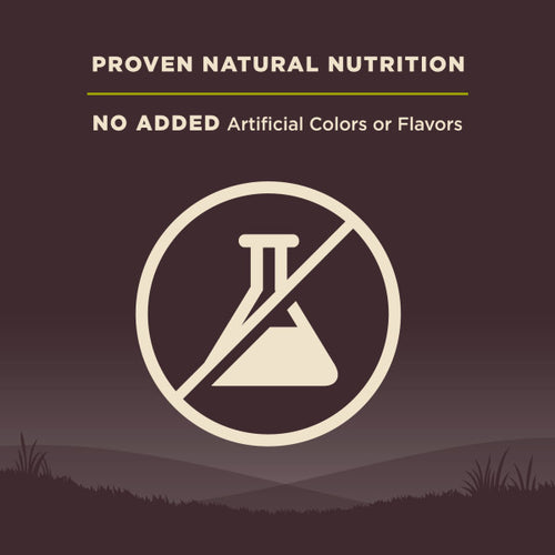 Wellness CORE Grain Free Small Breed Healthy Weight Turkey Recipe Dog Food