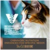 Tiki Cat® Solutions™ Skin + Coat Topper Salmon Recipe in Broth Wet Cat Food
