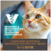 Tiki Cat® Solutions™ Fussy Mousse With Duck Liver & Egg Recipe in Broth Wet cat Food