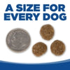 NutriSource Whitefish Meal & Rice Recipe Healthy Affordable Dog Food