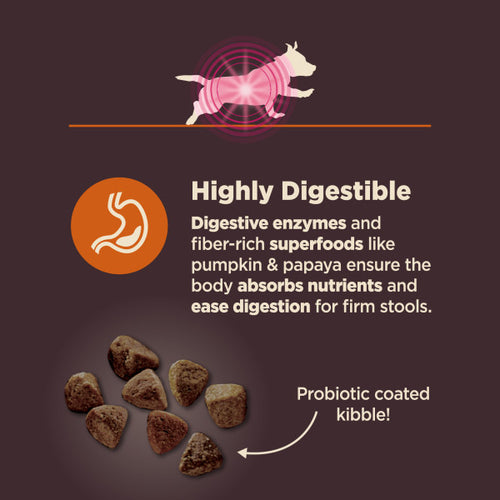Wellness CORE Digestive Health Small Breed Chicken & Brown Rice