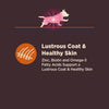 Wellness CORE Digestive Health Small Breed Chicken & Brown Rice