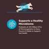 Wellness CORE Digestive Health Whitefish & Brown Rice Dry Dog Food
