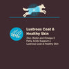 Wellness CORE Digestive Health Whitefish & Brown Rice Dry Dog Food