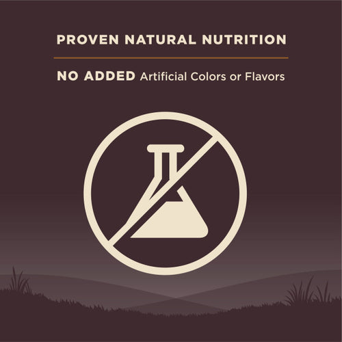 Wellness CORE Grain Free Natural Wild Game Duck, Turkey, Wild Boar and Rabbit Recipe Dry Dog Food