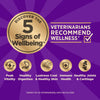 Wellness CORE+ Wholesome Grains Ocean Whitefish, Herring Meal & Salmon Meal