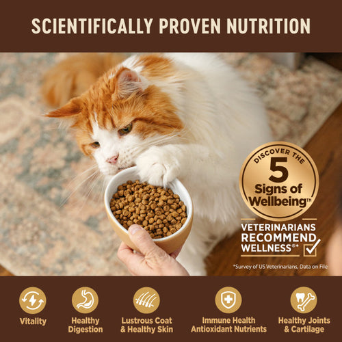Wellness CORE Natural Grain Free Original Turkey, Chicken, Whitefish & Herring Recipe Dry Cat Food