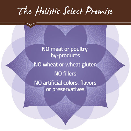 Holistic Select Natural Adult Health Chicken Meal and Brown Rice Recipe Dry Dog Food