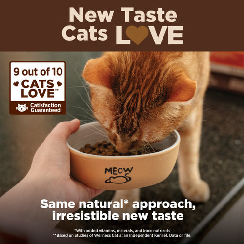 Wellness CORE Grain Free Kitten Deboned Turkey, Turkey Meal & Deboned Chicken