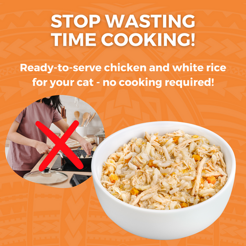 Koha Limited Ingredient Bland Diet Wet Food Chicken & Rice Recipe for Cats