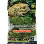 Galapagos Royal Pillow Moss 8QT