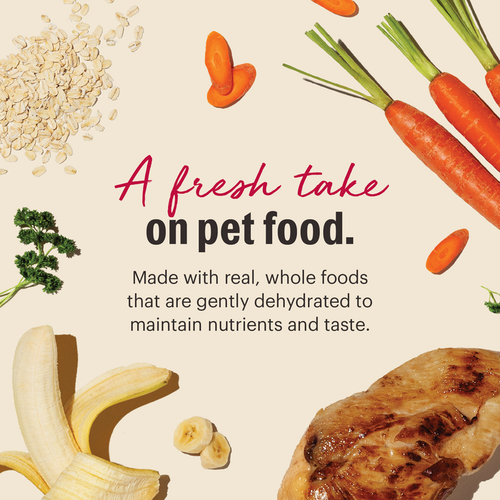 The Honest Kitchen Wholemade Whole Grain Chicken for Dogs