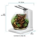 Fluval Liv Aquarium Kit White