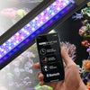 Fluval Flex Aquarium Kit, 32.5 US Gal / 123 L, Black
