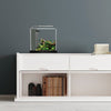 Fluval Spec Aquarium Kit, 2.6 US Gal / 10 L