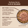 Wellness CORE+ Digestive Health Chicken & Rice Dry Cat Food