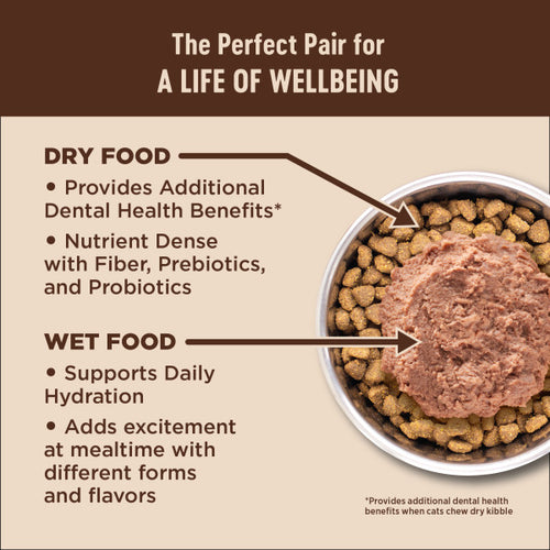 Wellness CORE+ Digestive Health Chicken & Rice Dry Cat Food