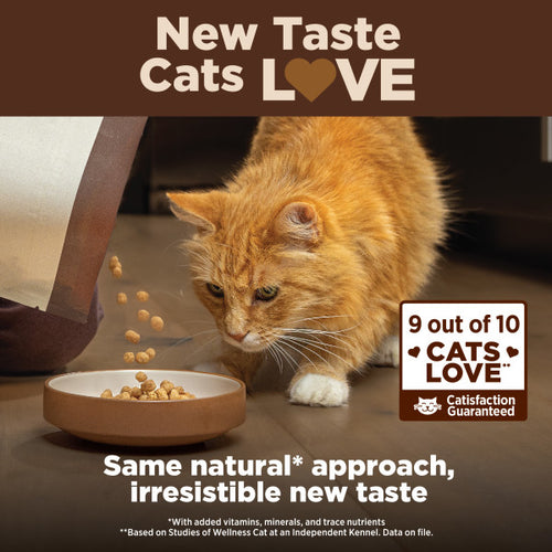 Wellness CORE+ Digestive Health Chicken & Rice Dry Cat Food