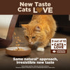 Wellness CORE® Digestive Health with Wholesome Grains Salmon & Rice Dry Cat Food