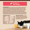 Wellness CORE® Digestive Health with Wholesome Grains Salmon & Rice Dry Cat Food