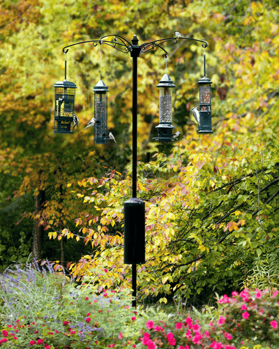 Brome Raccoon Buster® Guardian 1.5 Pole System