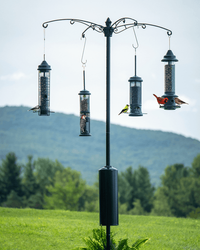 Brome Raccoon Buster® Guardian 1.5 Pole System