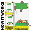 Billy-Bob™ Mouse Trap: Humane Multi-Catch Mouse Trap