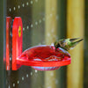 Birds Choice Window Mount Hummingbird Feeder in Red Recycled Plastic
