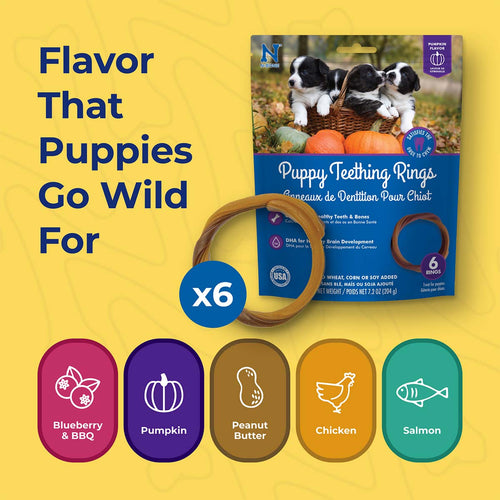 N-Bone Puppy Teething Rings Taste of Texas Chicken Fajitas Flavor